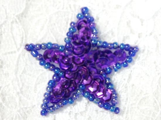 0111  Purple Star Beaded Sequin Applique 1.5"