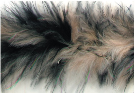 E3760  Black & Beige Marabou Feather Fur Sewing Trim 2"
