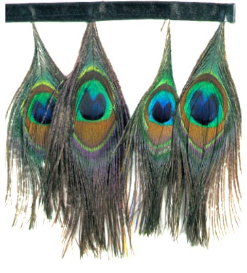 E4038  Peacock Feather Sewing Trim 5"