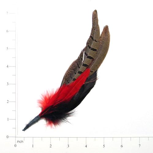 E4128   Large Brown & Red Spotted Feather 6.5"