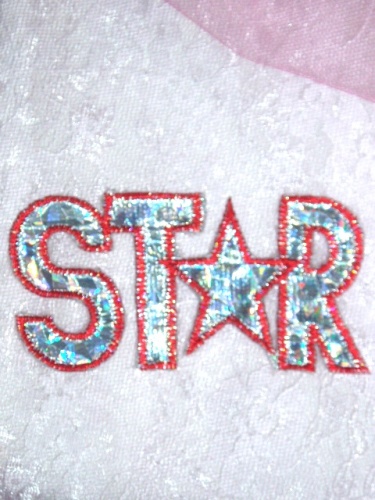 DS4  Red Star Holographic Applique 3.25"