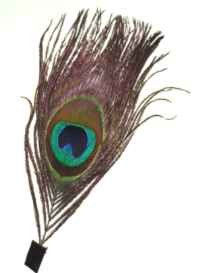 E4038  Peacock Feather Applique Motif