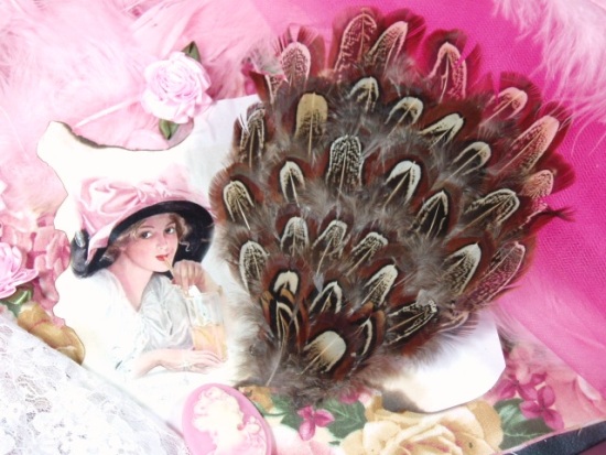 MR016  Brown/Beige/Black Feather Applique