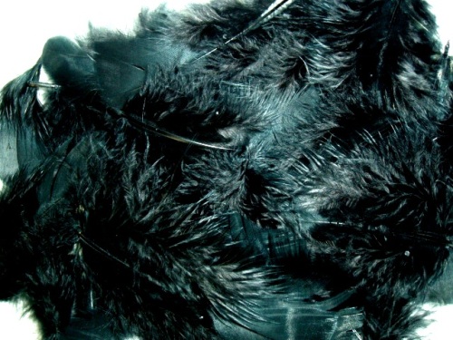 MR001 Package of Black Feathers 14 grams