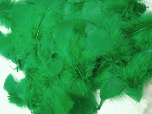 MR001 Package of Green Feathers 14 grams
