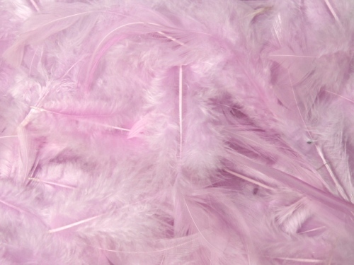 MR001 Package of Lavender Feathers 14 grams