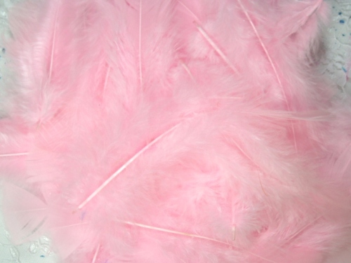 MR001 Package of Pink Feathers 14 grams
