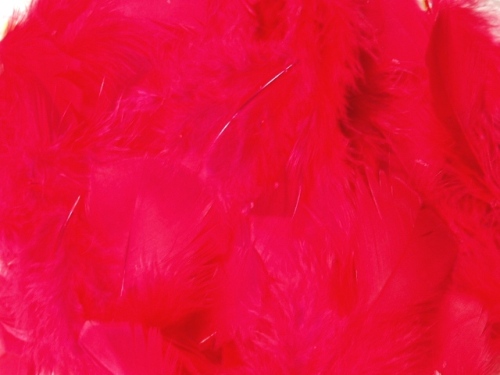 MR001 Package of Red Feathers 14 grams
