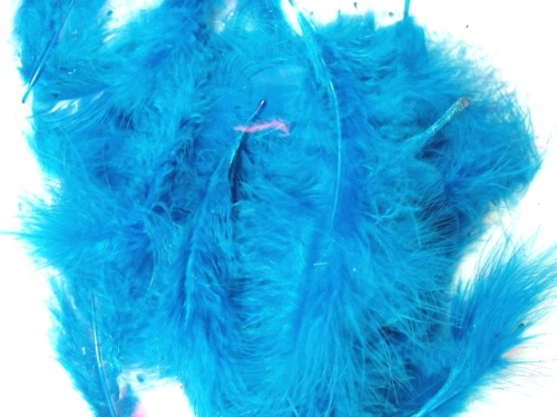 MR001 Package of Turquoise Feathers 14 grams
