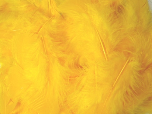 MR001 Package of Yellow Feathers 14 grams