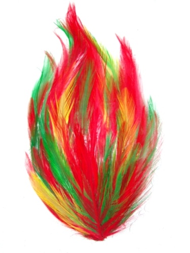 MR002 Red Yellow Green  Feather Pad Applique 7"