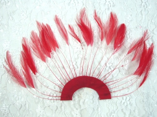 MR003   Red Half Circle Feather Applique 8"
