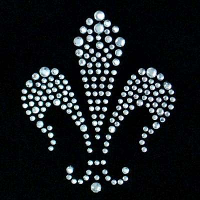 E1006 Glass Crystal Rhinestone Iron on Transfer Applique  2.75"