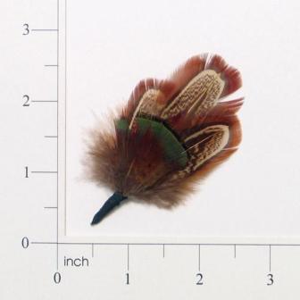 FS4136   Brown Green & Red  Feather 3"