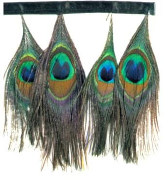 E4038  Peacock Feather Sewing Trim 5"