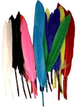 MR38185 Set of 24 Multi-Color Mini Indian Feathers