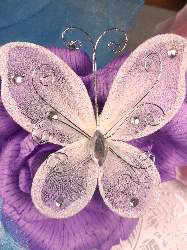 MR021 Choose Size Ivory Organza Jewel Butterfly Embellishment
