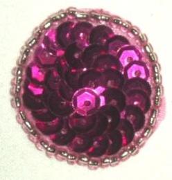 EB4  Dot/Bubble  Fuchsia Sequin Beaded Applique 1"