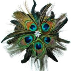 E4242 Peacock Rhinestone Feather Brooch Clip Applique