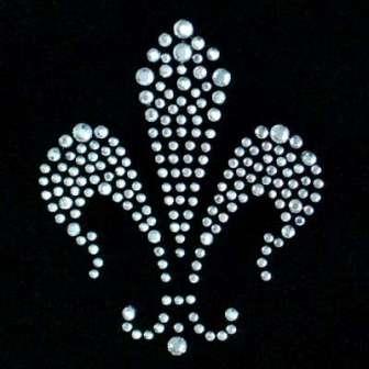 E1006 Glass Crystal Rhinestone Iron on Transfer Applique  2.75"