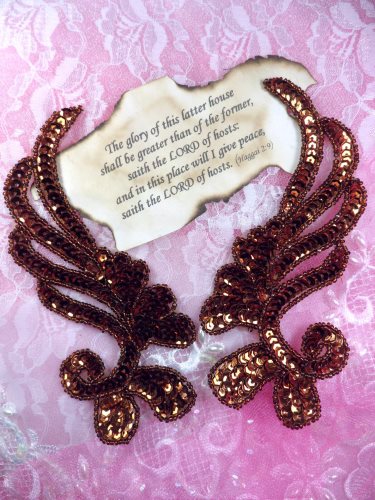 0182 Bronze Mirror Pair Sequin Beaded Appliques 6\