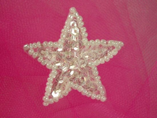 Crystal Star Sequin Beaded Applique 1.5 0111