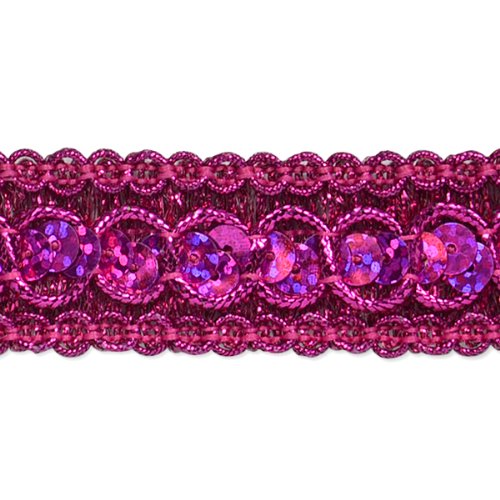 E6973  Fuchsia  Sequin Metallic Braid Trim 7/8