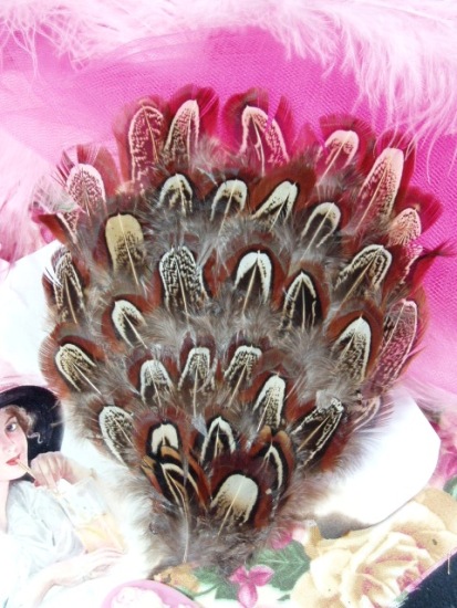 MR016  Brown/Beige/Black Feather Applique