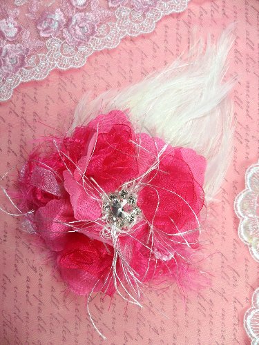 FB56 White And Fuchsia Floral Rhinestone Feather