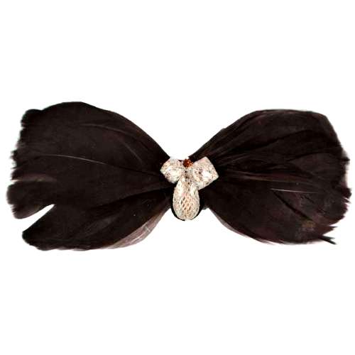 E4152  Brown Feather Applique Brooch 5\