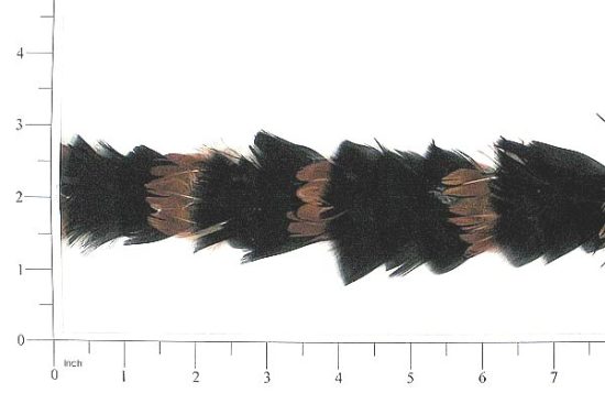 E4002  Brown Black Feather Sewing Trim