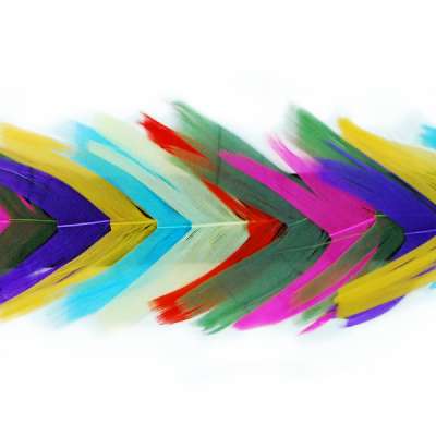 P4004 Multi Color Feather Trim Pre-Cut 36