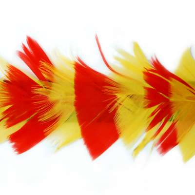 P4005 Red & Yellow Feather Trim Pre-Cut 36