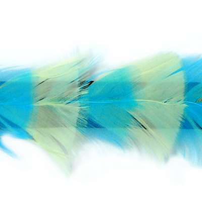 P4006 Aqua & Yellow Feather Trim Pre-Cut 36