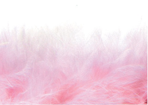 E3760  Pink Marabou Feather Fur Sewing Trim 2\