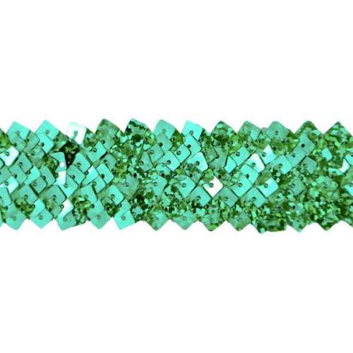 E4568  Green Stretch Starlight Sequin Trim
