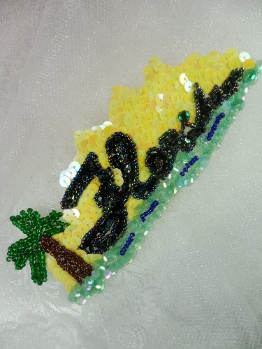 LC1551 Florida MultiColor Beaded Sequin Applique 5.5