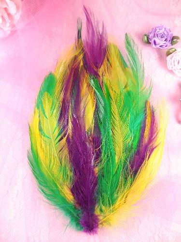 MR002  Mardi Gras Feather Pad Applique 7\