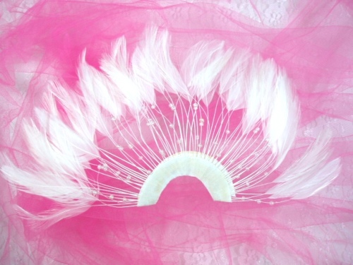 MR003   White Half Circle Feather Applique 8\