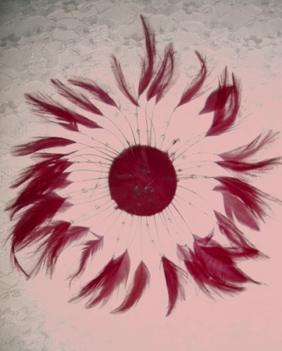 MR004   Red Circle Feather Applique 8\