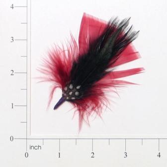 E4106   Burgundy Spotted Feather 3.25"