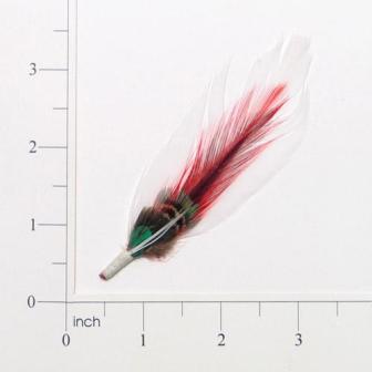 E4155   Red Green & White Feather 3"