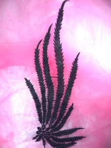 BL56 Black Floral Venise Lace Applique 14"