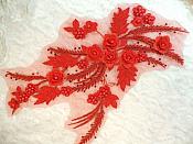 Embroidered 3D Appliques Red Floral Mirror Pair Fabulous Detail w/ Pearls 13" (DH76X)
