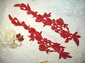 Embroidered Lace Appliques Red Floral Venice Lace Mirror Pair 14" (DH82X)