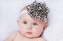GB22 Cheetah Leopard Sheer Layerd Flower Baby Headband Hairbow